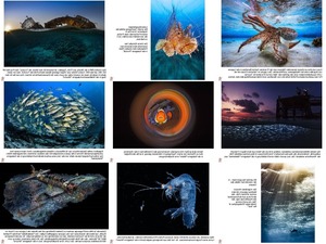 Underwater Photographer of the Year 2019