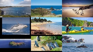 klicke hier, um die Datei herunterzuladen Phillip Island