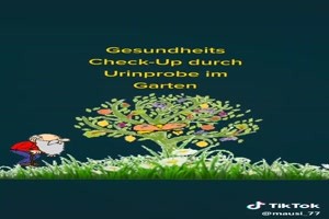 Gesundheits Check -Up
