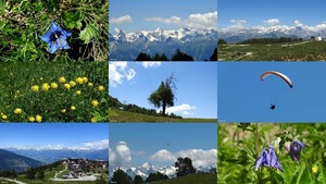 Alpen Panorama - Alpenpanorama
