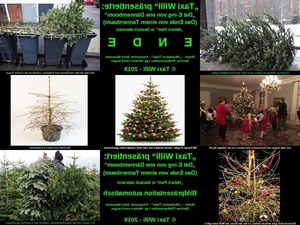 klicke hier, um die Datei herunterzuladen 06-Das Ende von einem Tannenbaum-
