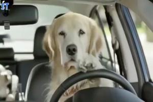 Eiferschtige Frau sitzt auf Beifahrersitz