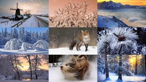 klicke hier, um die Datei herunterzuladen Winter 53