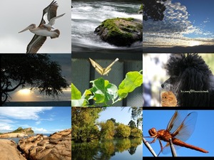 klicke hier, um die Datei herunterzuladen Bilder-Galerie vom 06092019 2