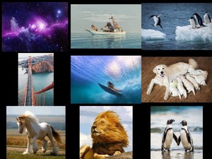 klicke hier, um die Datei herunterzuladen Bilder-Galerie