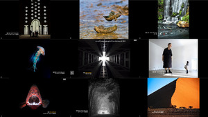 klicke hier, um die Datei herunterzuladen 2018 Olympus National Photography Contest Taiwan EN