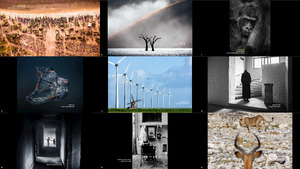 klicke hier, um die Datei herunterzuladen Netherlands National Geographic Photo Contest 2019 Winners