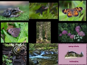 klicke hier, um die Datei herunterzuladen Bilder-Galerie vom 26082019 6