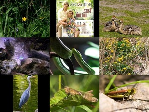 klicke hier, um die Datei herunterzuladen Bilder-Galerien vom 06062019 7