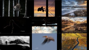 The Winners of Nordic Nature Photo Contest 2020 -