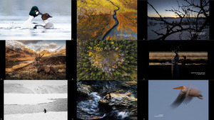 The Winners of Nordic Nature Photo Contest 2020