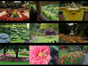 Butchart Gardens - Butchart Garten