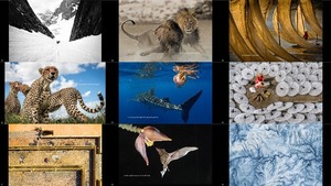 klicke hier, um die Datei herunterzuladen Photo of Day from Siena International Photography Awards -
