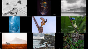 klicke hier, um die Datei herunterzuladen The 17th Annual Smithsonian Photo Contest Featured Entri