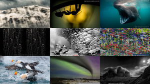 2014 international nature photography competition