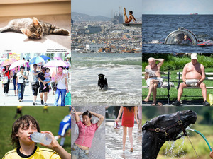 klicke hier, um die Datei herunterzuladen 2013 hot summer days