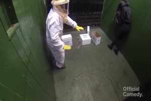 Versteckte Kamera - Killerbienen