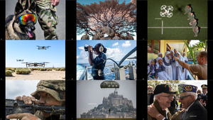 DOD US DEPT OF DEFENSE in Photos 2019 2-1