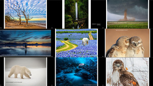 2015 It s Amazing Out There Photo Contest Winners Finalists