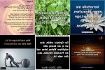 . auf www.funpot.net