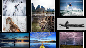 2015 its amazing out there photocontest winners finalists