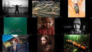 klicke hier, um die Datei herunterzuladen Photo of the Day from HIPA