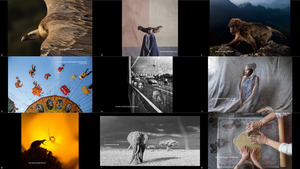 The 17th Annual Smithsonian Photo Contest Finalists