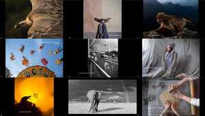 klicke hier, um die Datei herunterzuladen The 17th Annual Smithsonian Photo Contest Finalists