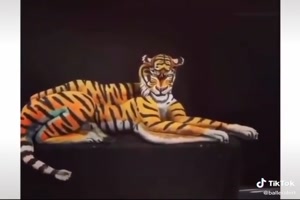 Was fr ein toller menschlicher Tiger