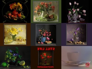 Still Life - Photography - Stillleben - Fotografie