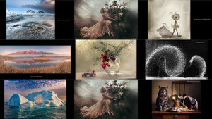klicke hier, um die Datei herunterzuladen awards 2016-100 best art photos of the year part1