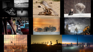 klicke hier, um die Datei herunterzuladen awards 2016 - 100 best art photos of the year part2