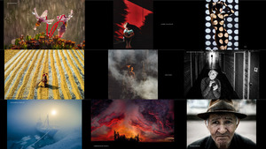 klicke hier, um die Datei herunterzuladen awards 2016 - 100 best art photos of the year part3