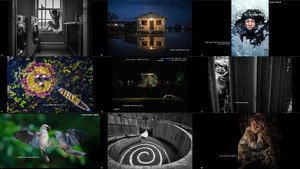 klicke hier, um die Datei herunterzuladen The 17th Annual Smithsonian Photo Contest Finalists