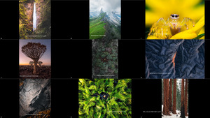 klicke hier, um die Datei herunterzuladen The World s Best Photos of Nature 2020 by Agora