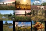Nationalpark-Dwingelderveld-in-den-Niederlanden.ppsx auf www.funpot.net