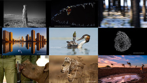 finalists of the 2014 wildlife photographer of the year