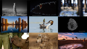 klicke hier, um die Datei herunterzuladen finalists of the 2014 wildlife photographer of the year