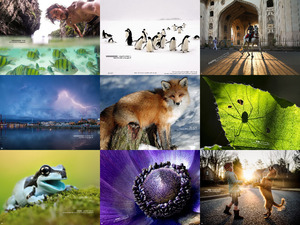 klicke hier, um die Datei herunterzuladen nationalgeographic photo of the day 2016