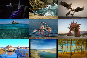 klicke hier, um die Datei herunterzuladen the 13th annua lsmithsonian photocontest- featuredentries 2