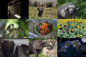 the 13th annual smithsonian photocontest - featuredentries3