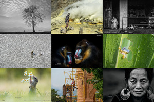 the 13th annual smithsonian photocontest - featuredentries7