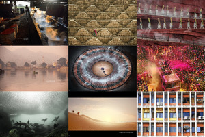 the 13th annual smithsonian photocontest - featuredentries7