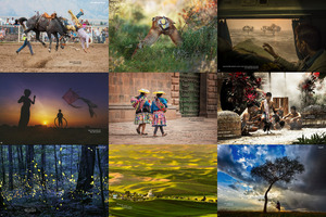 the 13th annual smithsonian photocontest