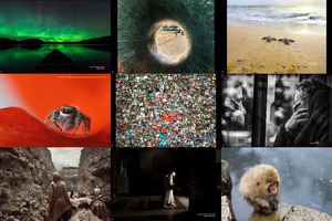 klicke hier, um die Datei herunterzuladen the 13th annual smithsonian photocontest