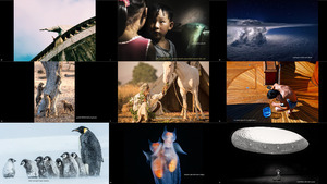 klicke hier, um die Datei herunterzuladen the 14th annual smithsonian photocontest - featuredentries4