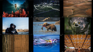 klicke hier, um die Datei herunterzuladen the 14th annual smithsonian photocontest - featuredentries5