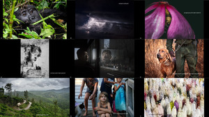 klicke hier, um die Datei herunterzuladen the 14th annual smithsonian photocontest - finalists