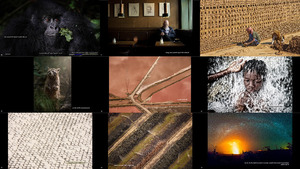 the 14th annual smithsonian photocontest featuredentries3