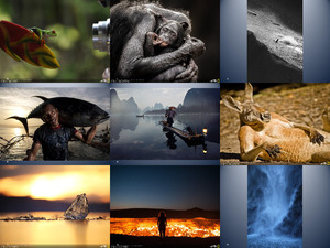 klicke hier, um die Datei herunterzuladen the 25th annual national geographic traveler photocontest